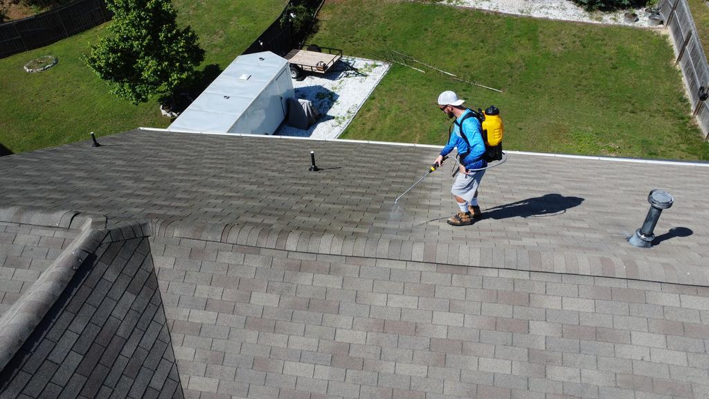 Traitement de toiture Roof Protect